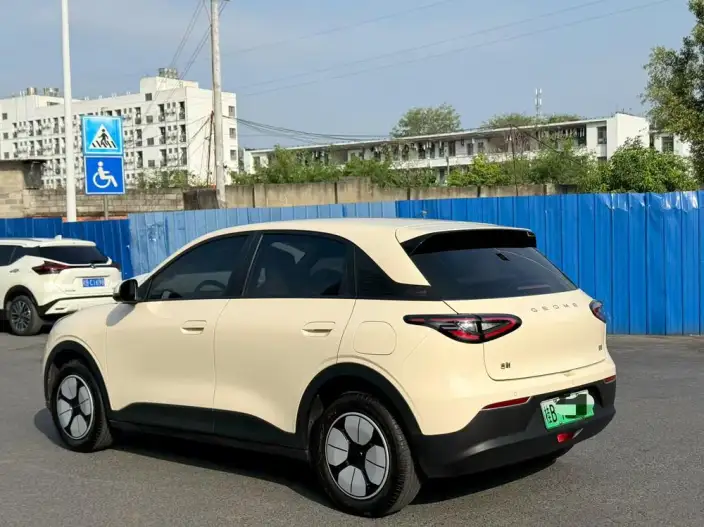 Geely Galaxy StarWish 2025 Model 310km Youth Edition