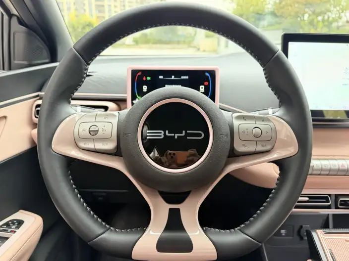 BYD Seagull 2023 Model Free Edition – фото 8