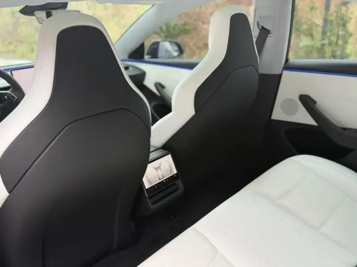 Model 3 2025 Model High performance All-wheel drive version – фото 9