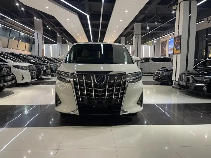Elfa 2021 Model Hybrid 2.5L Deluxe Edition – фото 2