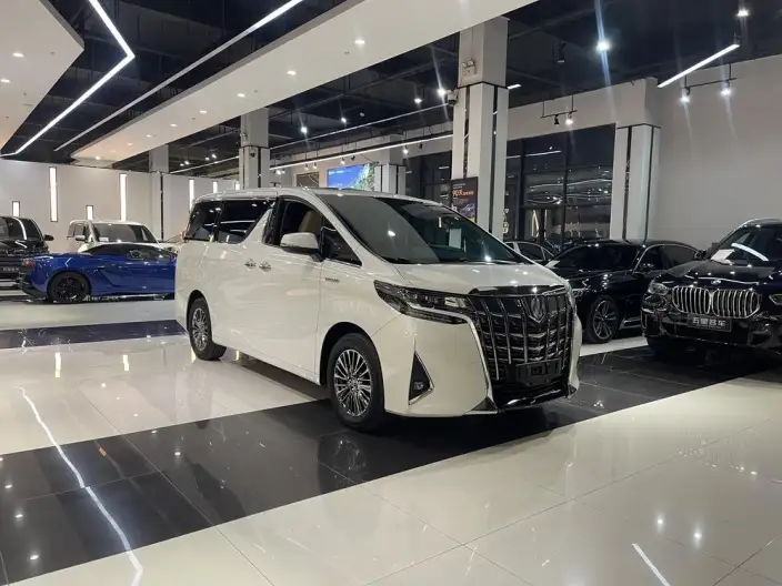 Elfa 2021 Model Hybrid 2.5L Deluxe Edition – фото 3