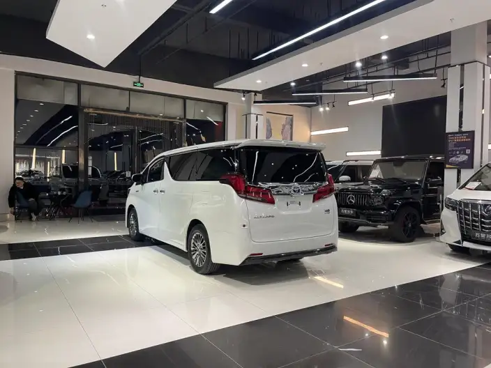 Elfa 2021 Model Hybrid 2.5L Deluxe Edition – фото 4