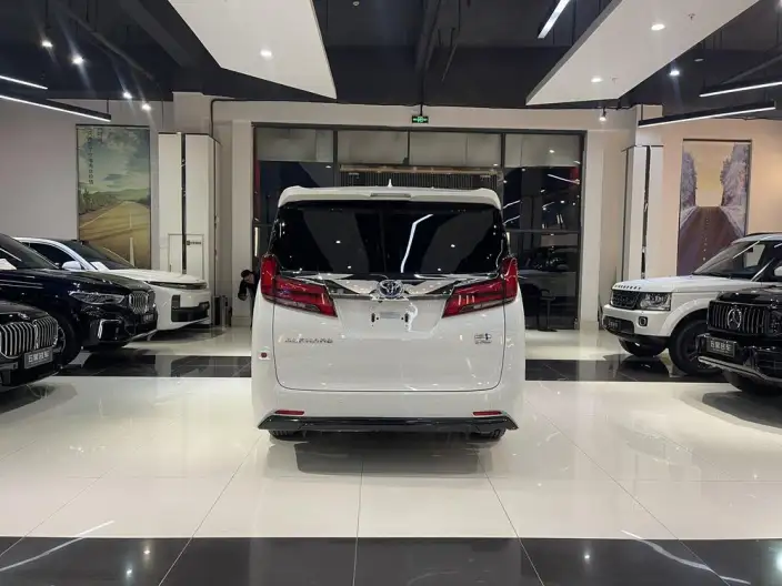 Elfa 2021 Model Hybrid 2.5L Deluxe Edition – фото 5