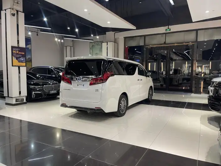 Elfa 2021 Model Hybrid 2.5L Deluxe Edition – фото 6