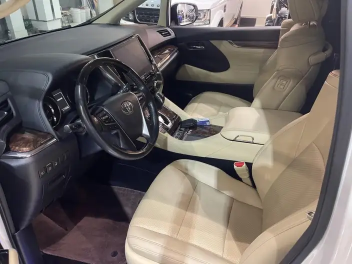 Elfa 2021 Model Hybrid 2.5L Deluxe Edition – фото 8