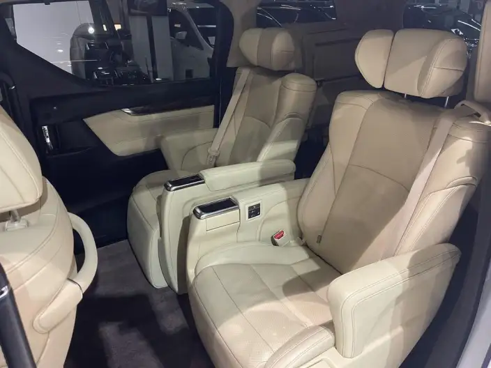 Elfa 2021 Model Hybrid 2.5L Deluxe Edition – фото 9