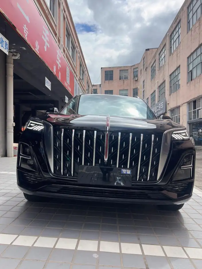 Hongqi HS5 2023 Model 2.0T Flag Ling Pro Edition – фото 6
