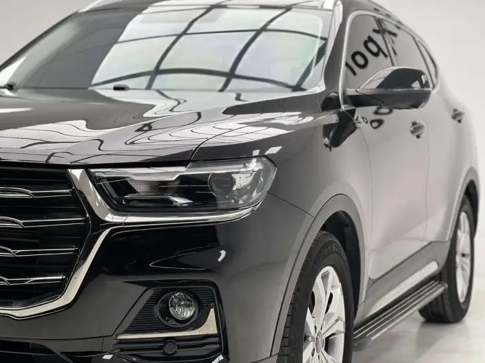 Haval H6 2021 Model Guo Trendy Edition 1.5T Automatic Champion Edition – фото 8