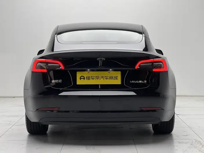 Model 3 2022 Model Rear-wheel drive version – фото 6
