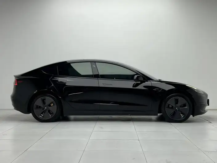 Model 3 2022 Model Rear-wheel drive version – фото 8