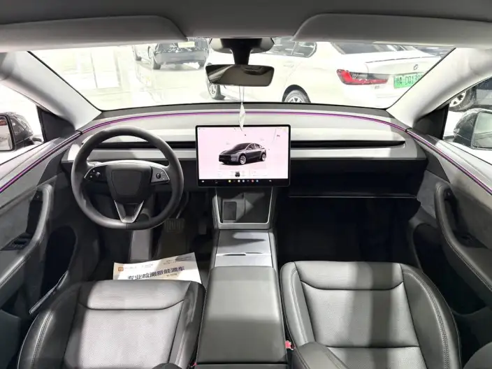 Model Y 2025 Model Long Battery Life Pro All-wheel drive version – фото 5