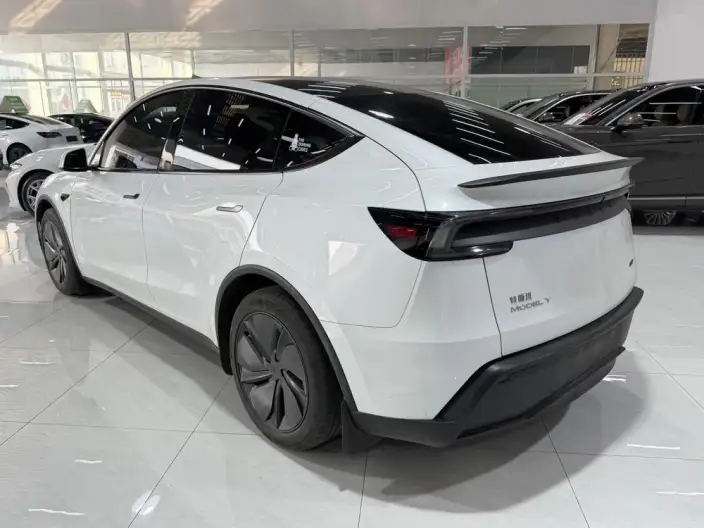 Model Y 2025 Model Rear-wheel drive version