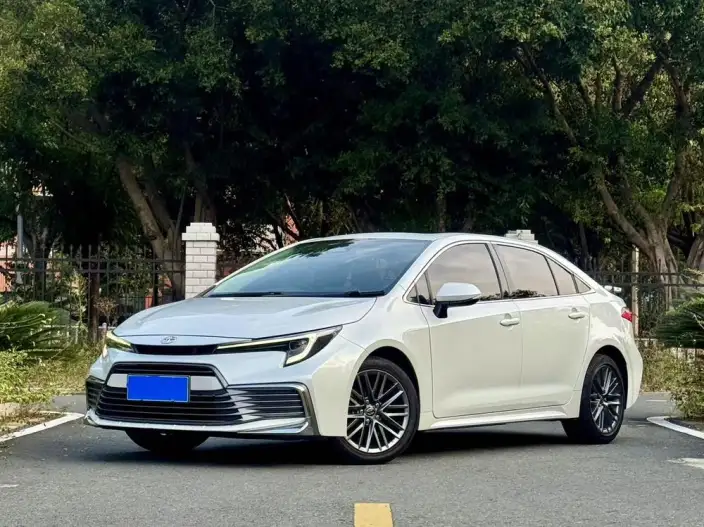 Lingshang 2024 Model 2.0L Leading version