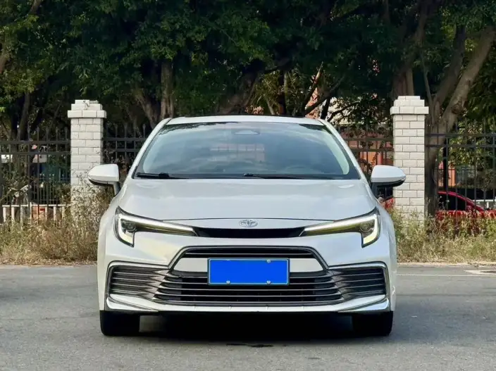 Lingshang 2024 Model 2.0L Leading version