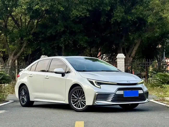 Lingshang 2024 Model 2.0L Leading version