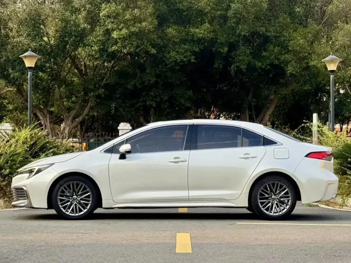 Lingshang 2024 Model 2.0L Leading version