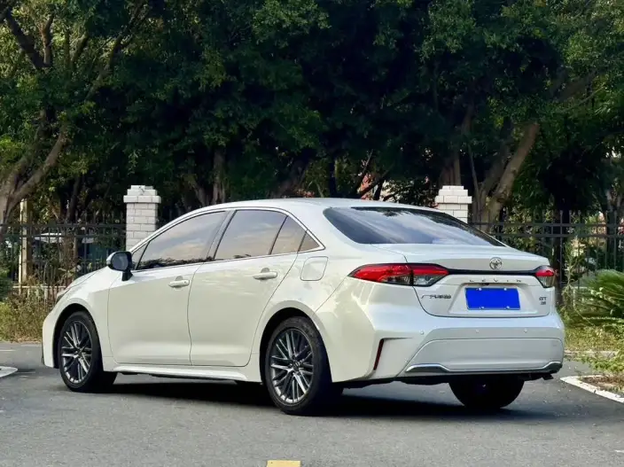 Lingshang 2024 Model 2.0L Leading version – фото 5
