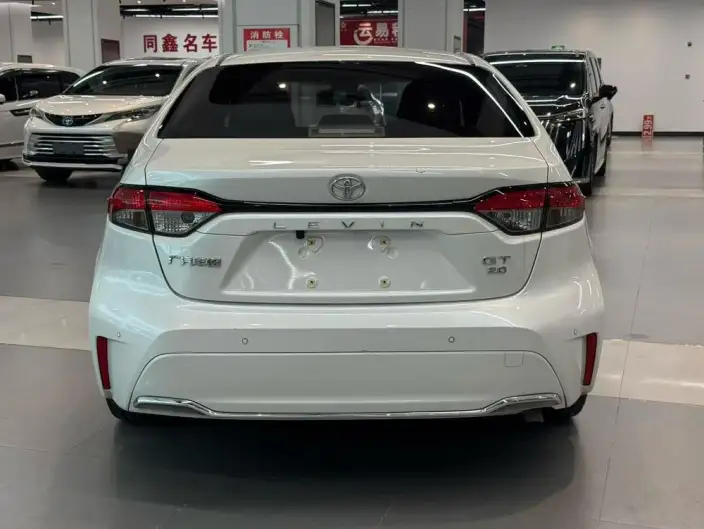 Lingshang 2023 Model 2.0L Deluxe Edition – фото 5