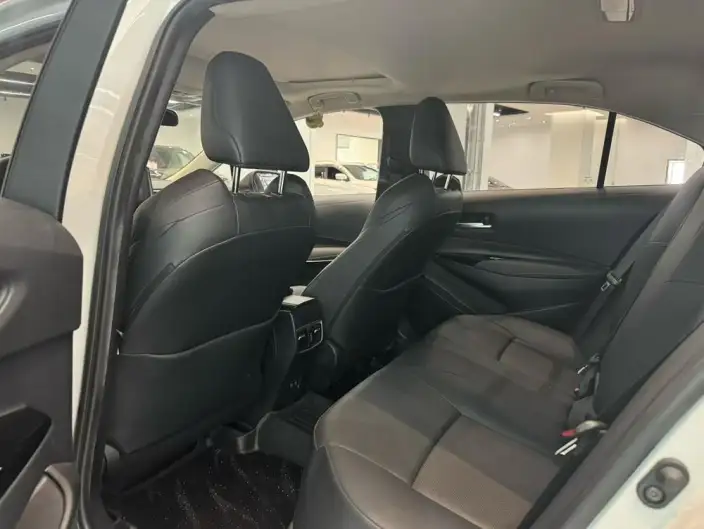 Lingshang 2023 Model 2.0L Deluxe Edition – фото 9