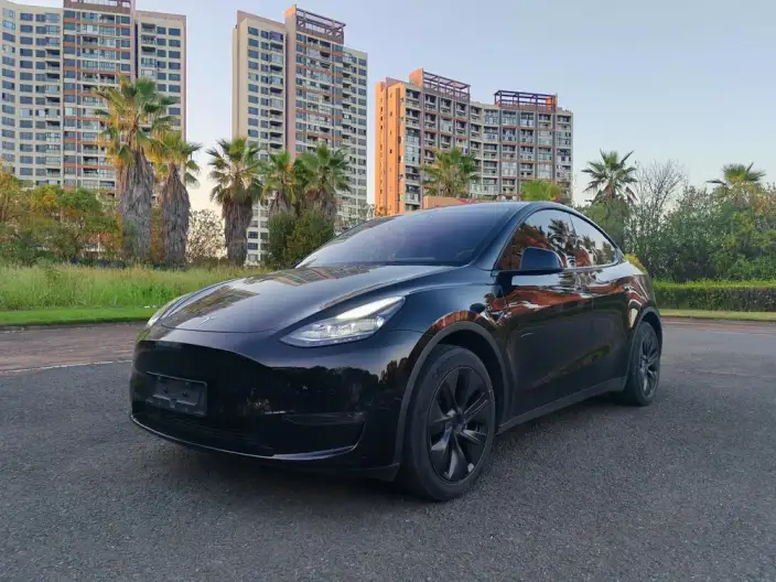 Model Y 2023 Model Long Battery Life Pro All-wheel drive version
