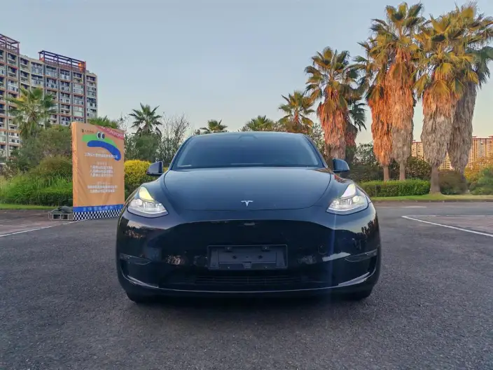 Model Y 2023 Model Long Battery Life Pro All-wheel drive version