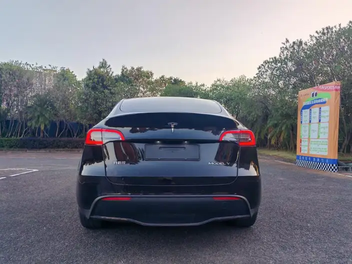 Model Y 2023 Model Long Battery Life Pro All-wheel drive version – фото 5