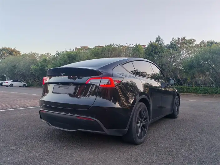 Model Y 2023 Model Long Battery Life Pro All-wheel drive version – фото 6