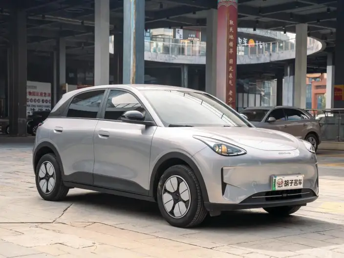 Geely Galaxy StarWish 2025 Model 310km Youth Edition