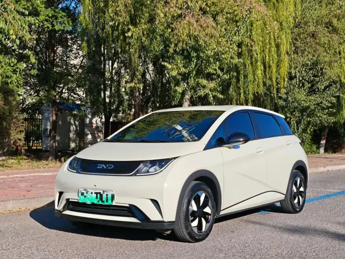BYD Dolphin 2025 Model 420KM Free Edition