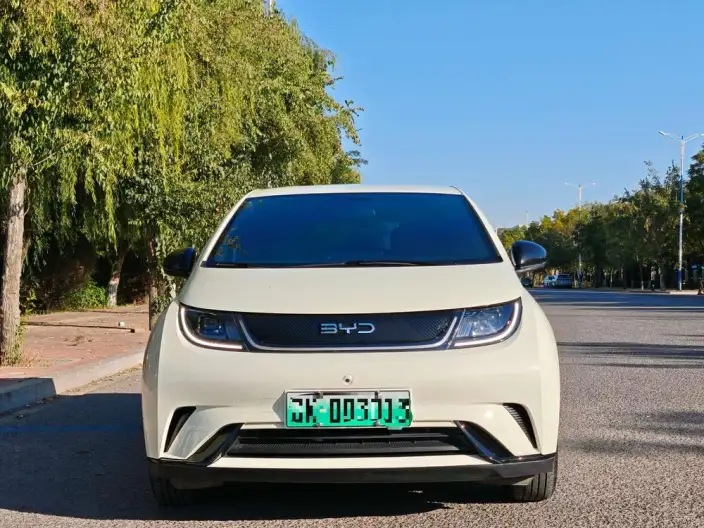 BYD Dolphin 2025 Model 420KM Free Edition