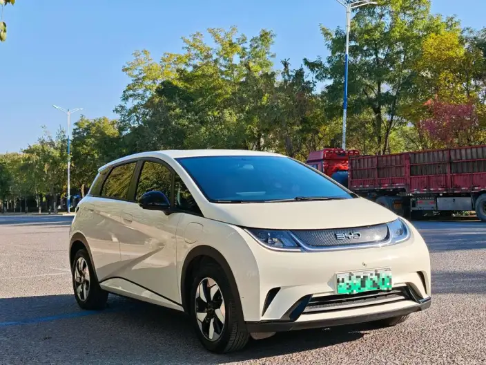 BYD Dolphin 2025 Model 420KM Free Edition