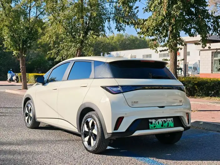 BYD Dolphin 2025 Model 420KM Free Edition