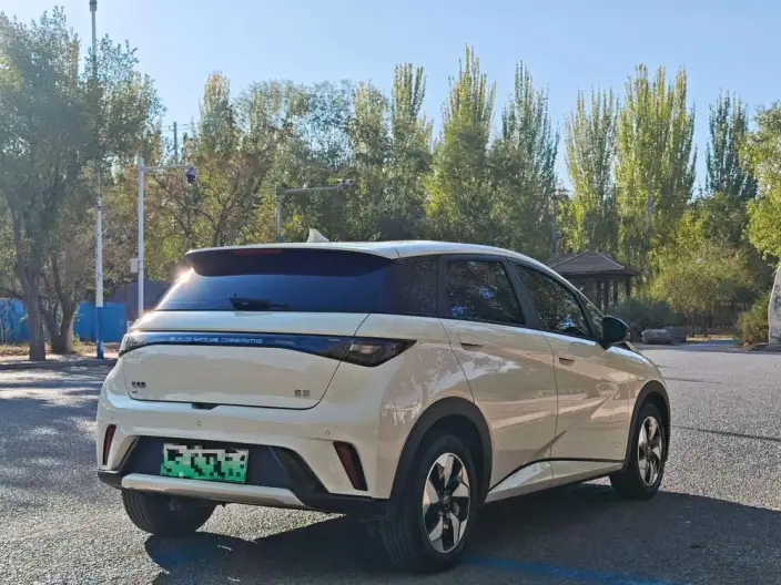 BYD Dolphin 2025 Model 420KM Free Edition – фото 6