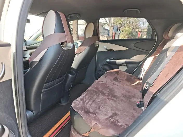 BYD Dolphin 2025 Model 420KM Free Edition – фото 9
