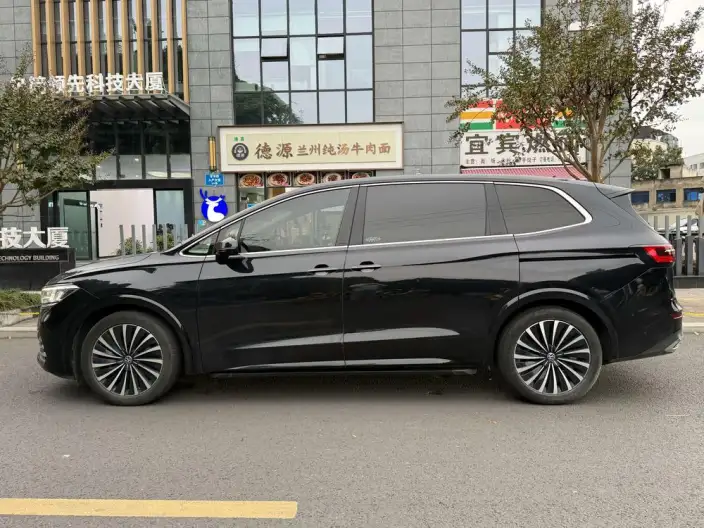 Viloran 2020 Model 380TSI Premium Edition