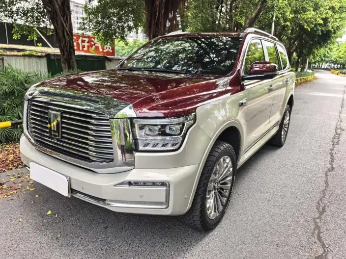 Tank 500 2022 Model Customized Edition 5 seat