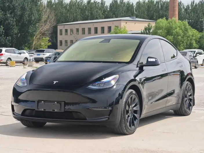 Model Y 2021 Model Standard Battery Life Rear-wheel drive version