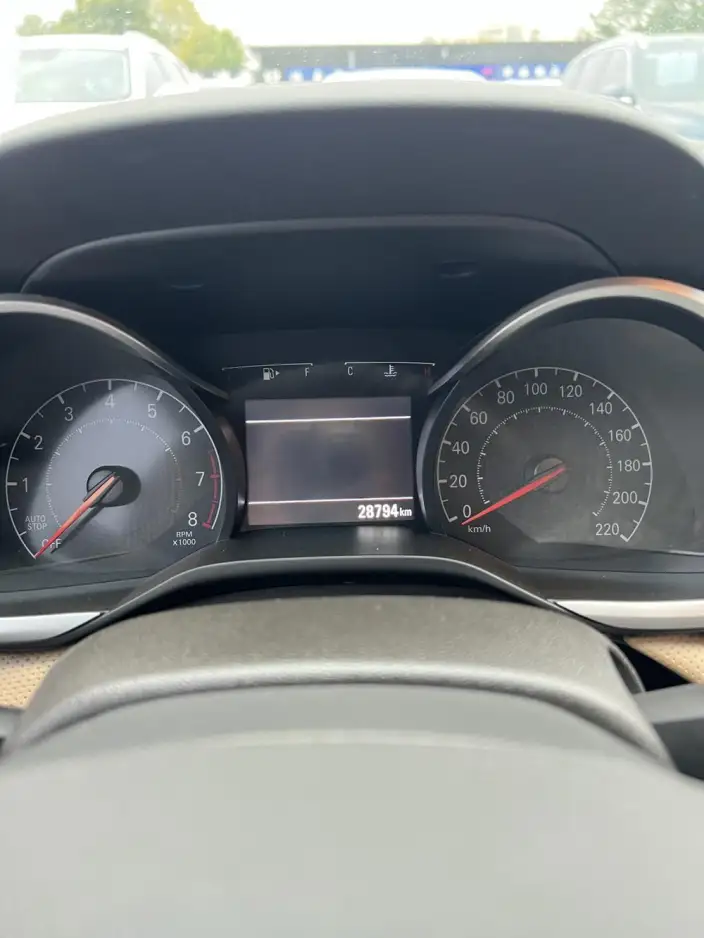 Chevrolet Corolla 2020 Model 320 Automatic Yuexiang Edition – фото 7