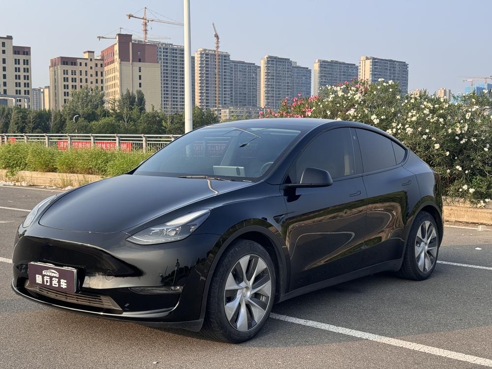Tesla Model Y 2021 Standard Range RWD – фото 1