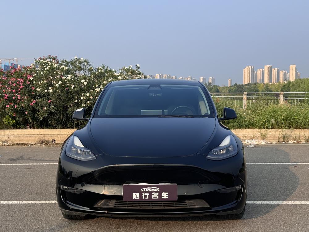 Tesla Model Y 2021 Standard Range RWD – фото 2