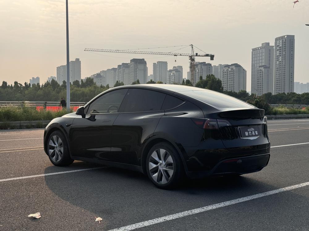 Tesla Model Y 2021 Standard Range RWD – фото 5