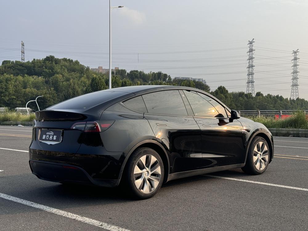 Tesla Model Y 2021 Standard Range RWD – фото 7