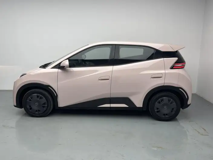BYD Seagull 2024 Model Honor Edition 305KM Vitality Edition