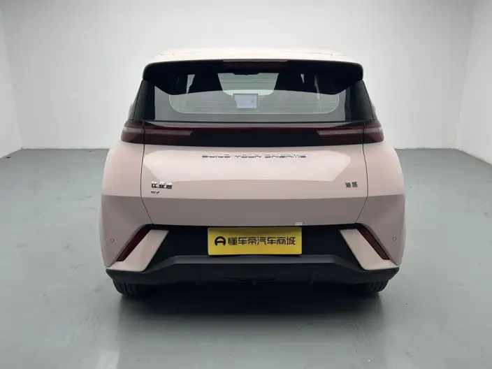 BYD Seagull 2024 Model Honor Edition 305KM Vitality Edition – фото 6
