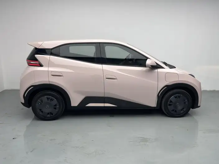 BYD Seagull 2024 Model Honor Edition 305KM Vitality Edition – фото 8