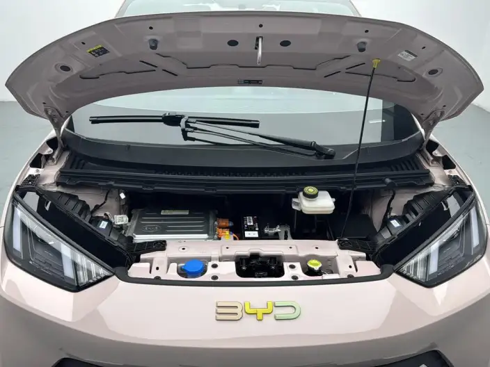 BYD Seagull 2024 Model Honor Edition 305KM Vitality Edition – фото 10