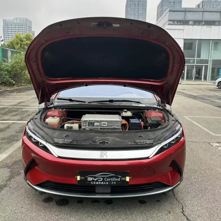 BYD Han EV 2020 Model Ultra-long Endurance Luxury Model – фото 5