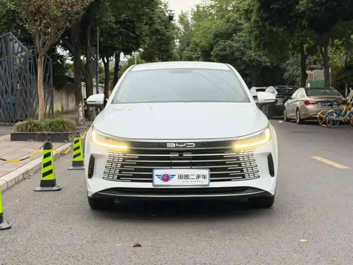 BYD Destroyer 05 2024 Model Honor Edition DM-i 55KM Luxury Model