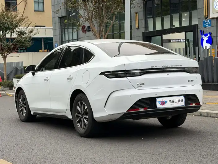 BYD Destroyer 05 2024 Model Honor Edition DM-i 55KM Luxury Model