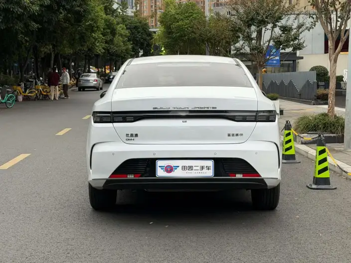 BYD Destroyer 05 2024 Model Honor Edition DM-i 55KM Luxury Model – фото 5